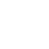 Mic Icon