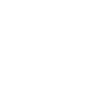 Legal Compliance Icon