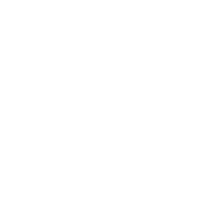 Due Diligence Icon