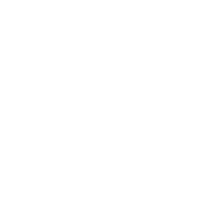 Negotiation and Pre-Litigation Settlements